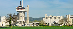 cesa